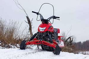 Снегоход DINGO T150 2021 150см3